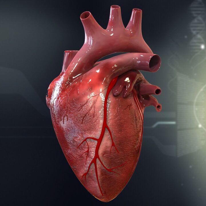 Cuore umano e ipertensione